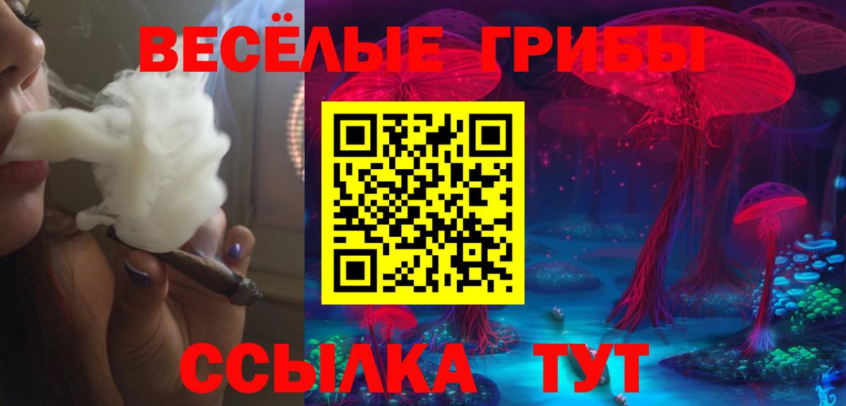 Ишимбай  Галлюциногенные грибы мухоморы  Вход с VPN 